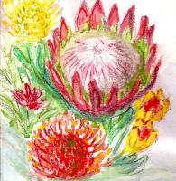 Floral Watercolour - Protea Greeting Card - Water Colour