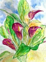 Floral Watercolour - Magenta Lilies - Water Colour