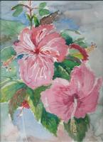 Floral Watercolour - Hibiscus Blooming - Water Colour